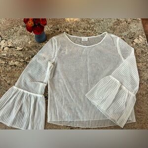 Babaton (Aritzia) mesh xs cropped blouse.
White,layering piece Bell sleeves.